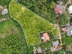 Valuable Waterfront Property in Panadura