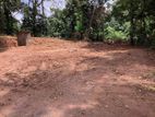 Valuble 72 Perch Land for Sale in Homagama