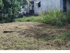 Valuble Land for Sale Ganemulla