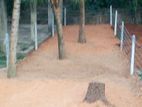 Valuble Land For Sale in Kadawatha Town