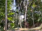 Valuble Land for Sale in Kandy Galagedara