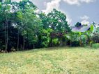 Valuble Land For Sale in Udugampola, Gampaha