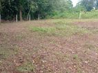 Land for sale in Wadduva, Mavala