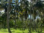 Valuble Land for Sale in Wariyapola Kurunegala