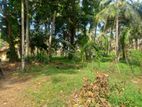 Valuble Land in Kurunegala