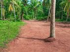 Valuble Land in Nittambuwa - H04