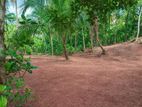 Valuble Land in Nittambuwa - M03