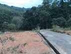 Valuble Land(commercial/residential) for Sale Close to Pasyala Town
