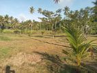 Valuble Residential Land for Sale Kuliyapitiya