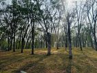 Valueble Plots for Sale in Kananvila