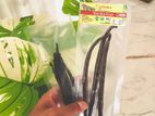 Vanilla Beans