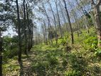 Vannaluwawa Land for Sale