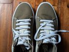 Vans Casual Shoes