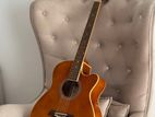 Vantage Acoustic Guitar