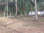 Land For Sale In Minuwangoda