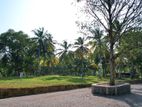Vauable Land for Sale in Ragama