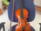 Violin