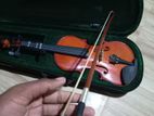 Violin