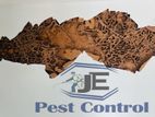 වේයන් මර්ධනය [ Termite Control ]