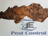 වේයන් මර්ධනය [ Termite Control ]