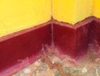 වේයන් මර්ධනය [ Termite Control ]