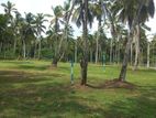 වේයන්ගොඩ කුබල්ඔලුව බස් පාරෙන් පර් 360000/= පහසු ගෙවීම්