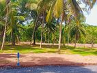 වේයන්ගොඩ Land for sale