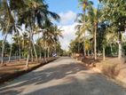 වේයන්ගොඩ මීරිගම කුඹල් ඔලුව පාරට මුහුණලා