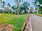 වේයන්ගොඩ මල්ලැහැව ප්රධාන පාරට මුහුණලා බිම් කොටසක් / HL 14079