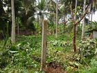 වේයන්ගොඩ නගරයට ඉතා ආසන්නයෙන්