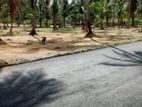 වේයන්ගොඩ , නයිවල සුපිරි" බිම්කොටස්