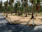 වේයන්ගොඩ නයිවල සුපිරි" බිම්කොටස් පර් 570000/= පහසු ගෙවීම්