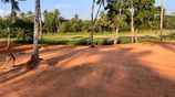 වේයන්ගොඩ සුන්දර වෙල් යායකට මුහුණලා