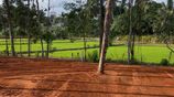 වේයන්ගොඩ සුන්දර වෙල් යායකට මුහුණලා