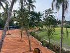 වේයන්ගොඩ සුන්දර වෙල් යායකට මුහුණලා ඉඩමක්