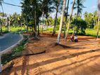 වේයන්ගොඩ සුන්දර වෙල් යායකට මුහුණලා Land for Sale
