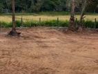 වේයන්ගොඩ සුන්දර වෙල් යායකට මුහුණලා Land for Sale
