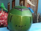 Vega Helmet