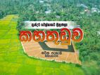 වෙල් යායකට මුහුණලා ආයොජනයට හොඳම බිම්කොටස් රැසක්
