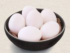 Incubated Eggs