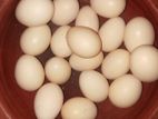 White Eggs