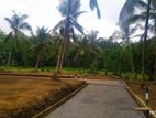 වෙල්යායකට මායිම්ව මීපෙ ඉඩම්