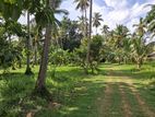 Very good for Agriculture and farming land with house sale