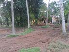 Very good investment for Agriculture ,farming land sale godigamuwa