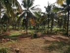 Very Good Land for Agriculture and Farming Sale Godigamuwa