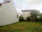 Very High Value Vacant Land for Sale in Near Station rd Dehiwala Town,