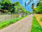 Very Near Bus Road Daluwakotuwa 10 Perches Land for Sale - Negombo