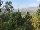 Land for Sale - Peradeniya