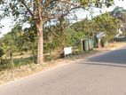 Very Suitable Land for Sale in Katunayake - Kovinna