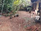 Very Valuable Land For Sale